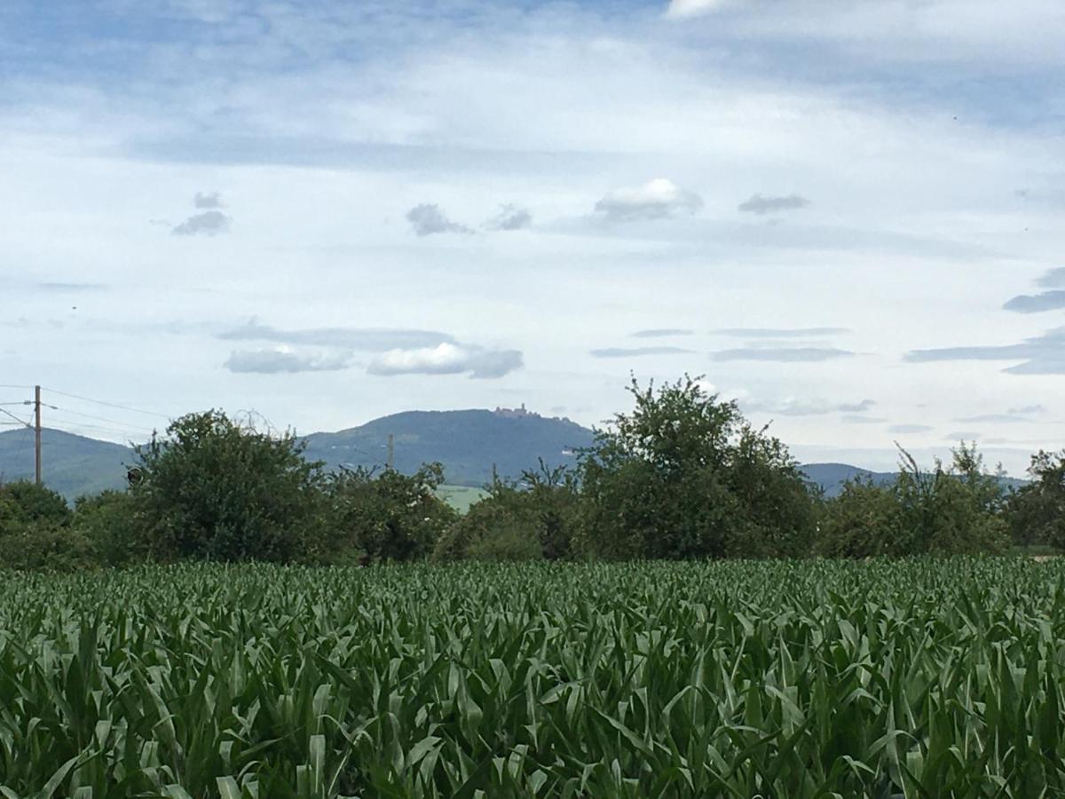 Gite D'Alsace L'Escale Ostheim Exterior foto