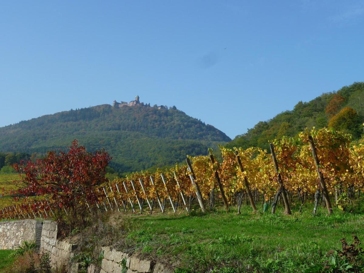 Gite D'Alsace L'Escale Ostheim Exterior foto